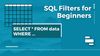 Retool SQL Table Filter Tutorial